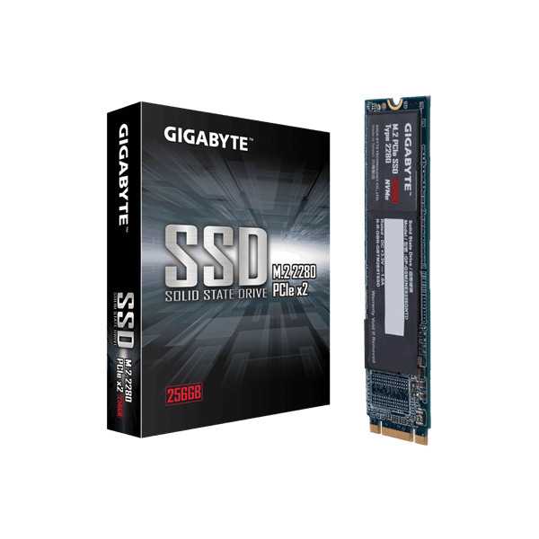 Gigabyte GP-GSM2NE8256GNTD 256 GB, SSD interface M.2 NVME, Write speed 800 MB/s, Read speed 1200 MB/s