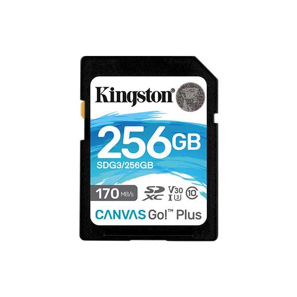 Kingston Canvas Go! Plus 256 GB, SD, Flash memory class 10