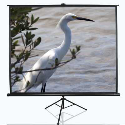 Elite Screens Tripod Series T120UWV1 Diagonal 120 ", 4:3, Viewable screen width (W) 244 cm, Black