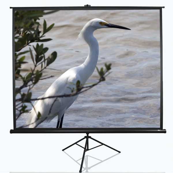 Elite Screens Tripod Series T100UWV1 Diagonal 100 ", 4:3, Viewable screen width (W) 203 cm, Black