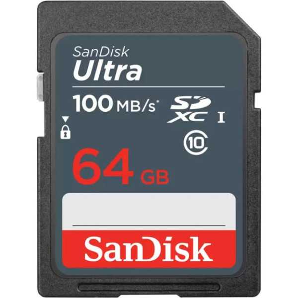 MEMORY SDXC 64GB UHS-I/SDSDUNR-064G-GN3IN SANDĖLIS