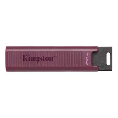 Kingston USB 3.2 Flash Drive DataTraveler MAX 256 GB USB 3.2