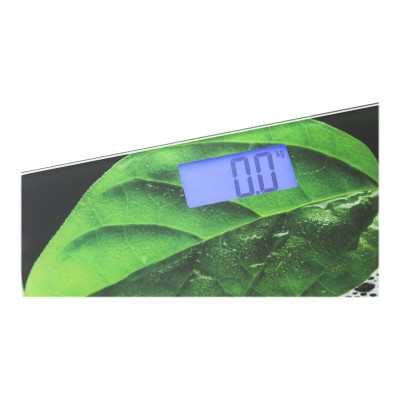 Mesko Bathroom scales MS 8149 Maximum weight (capacity) 150 kg Accuracy 100 g Black/ green