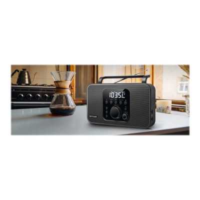 Muse Radio M-091R Alarm function AUX in Black