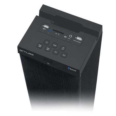 Muse M-1250BT 60 W Wireless connection Black Bluetooth