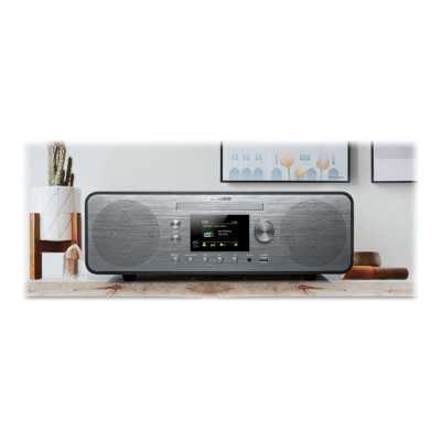 Muse Radio M-885 DBT Grey AUX in