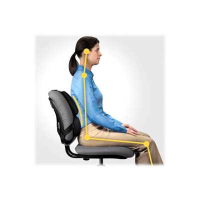 Professional back support - Professional Series | Depth 55 mm | Height 365 mm | High-density foam | Width 375 mm