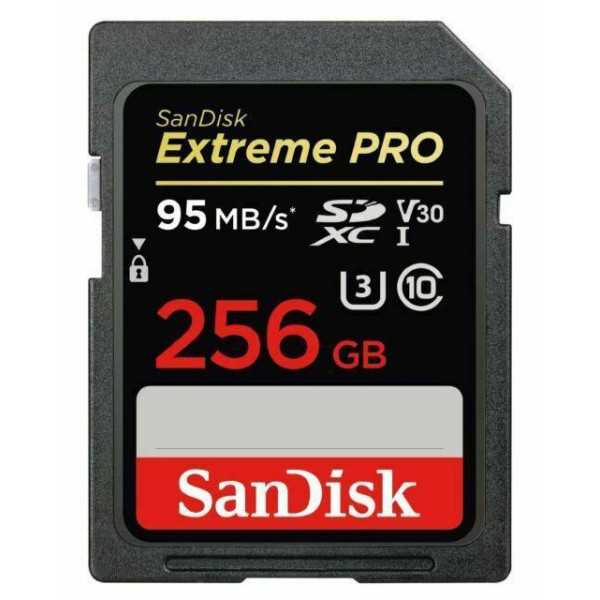 MEMORY SDXC 256GB UHS-1 / SDSDXXD-256G-GN4IN SMANDUS DISKAS