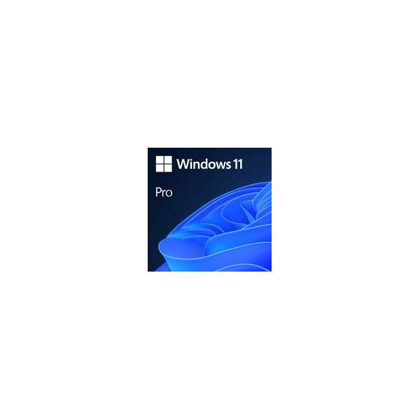 Software|MICROSOFT|Win 11 Pro GGK 64Bit Eng Intl 1pk DSP ORT OEI DVD|Win Pro|OEM|English|4YR-00316