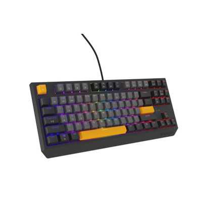 THOR 230 | Mechanical Gaming Keyboard | Wired | US | Anchor Gray Negative | USB Type-A | Outemu Red