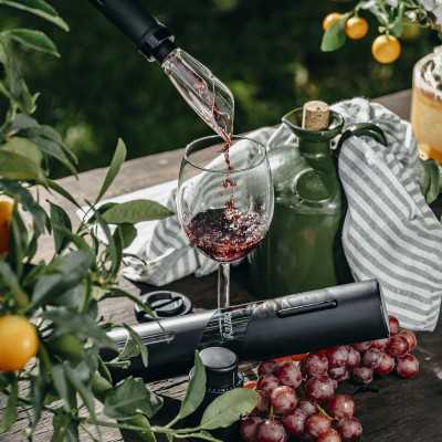 Wine Opener - Set | CR 4510 | Black