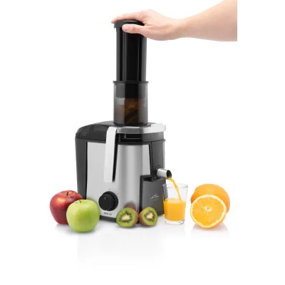 ETA Juicer Fresher II ETA503290000 Type Centrifugal Silver/Black 800 W Number of speeds 2 19000 RPM