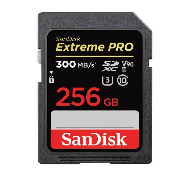 MEMORY SDXC 256GB UHS-II/SDSDXDK-256G-GN4IN SANDISK